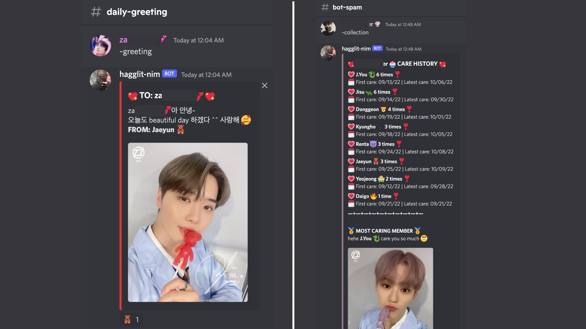 Greeting and Collection Commands
